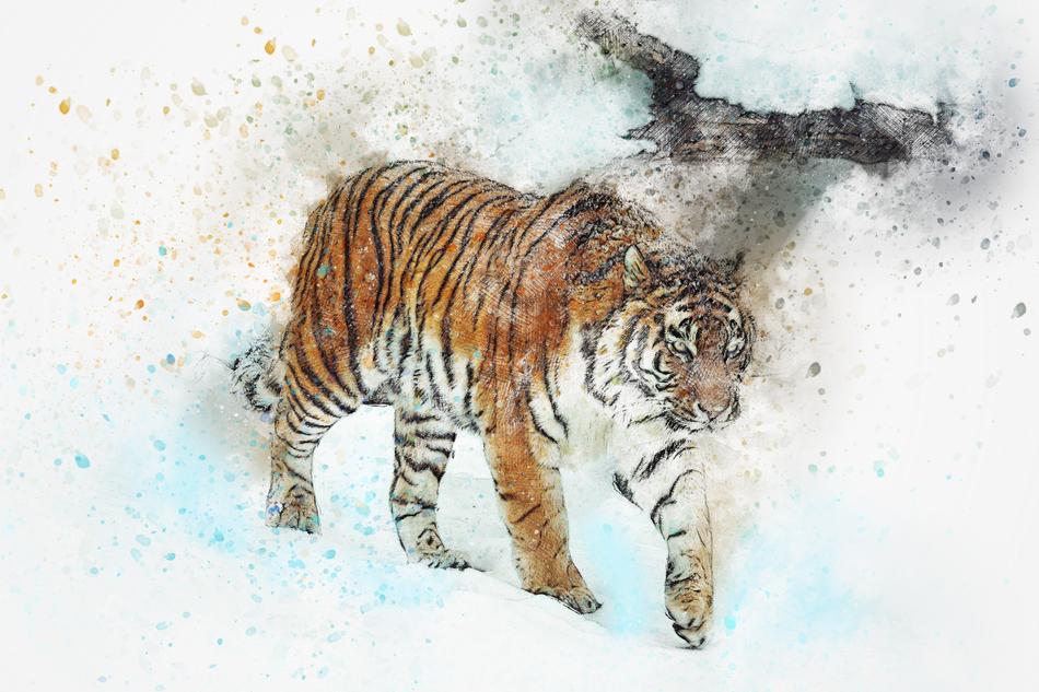 tiger walking wild art watercolor