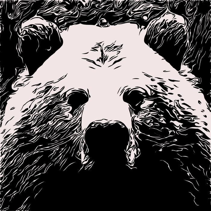 bear animal grizzly brown black