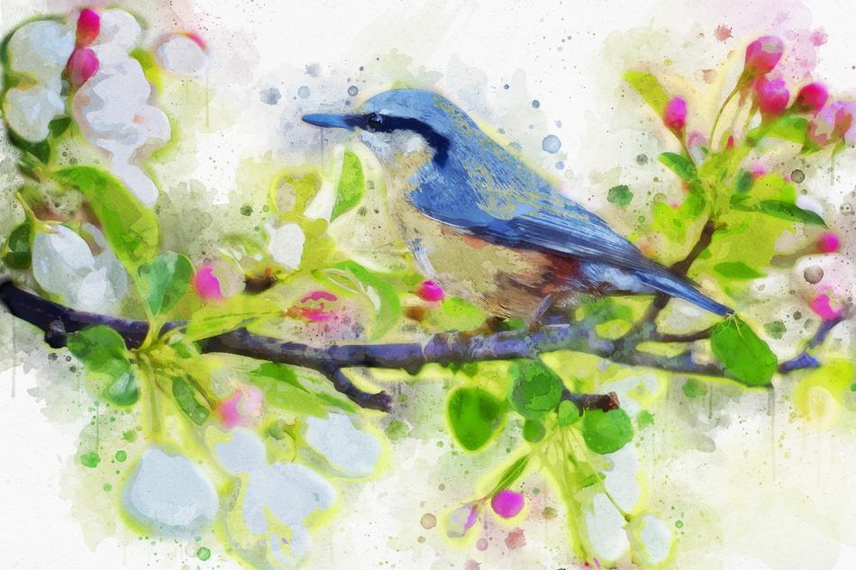 bird spring blue illustration