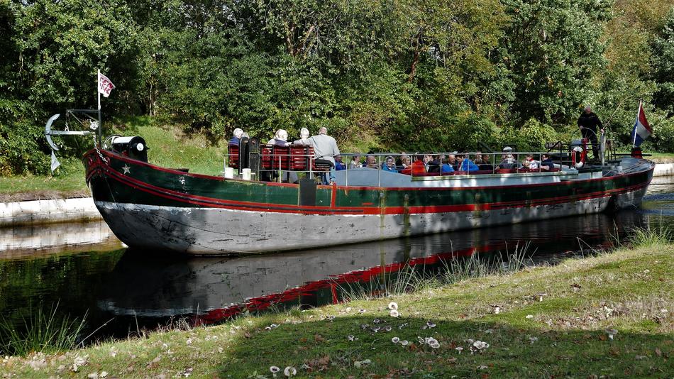 a big black boat in the swamp