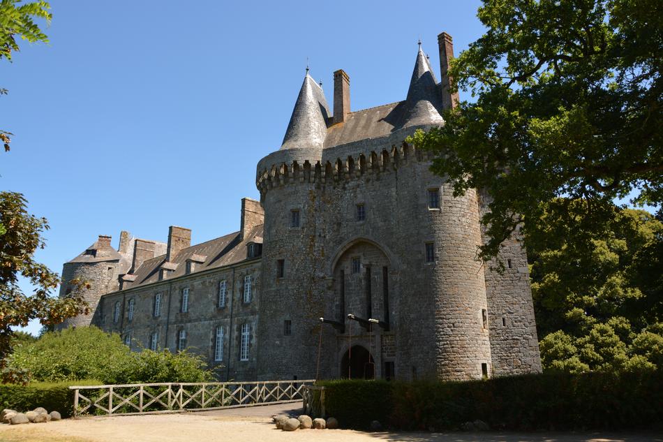 beautiful castle among the trees