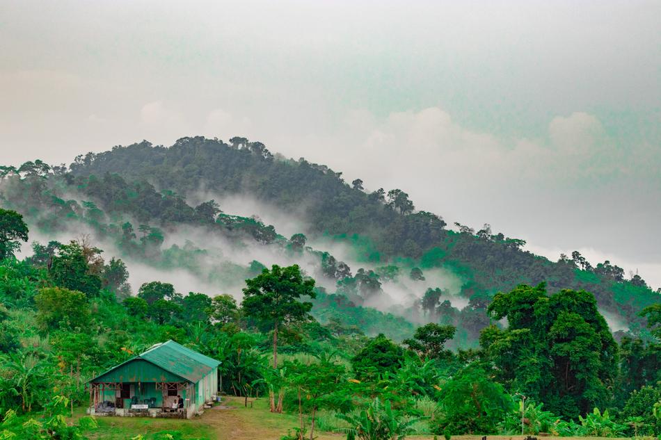 House Hill Mountain
