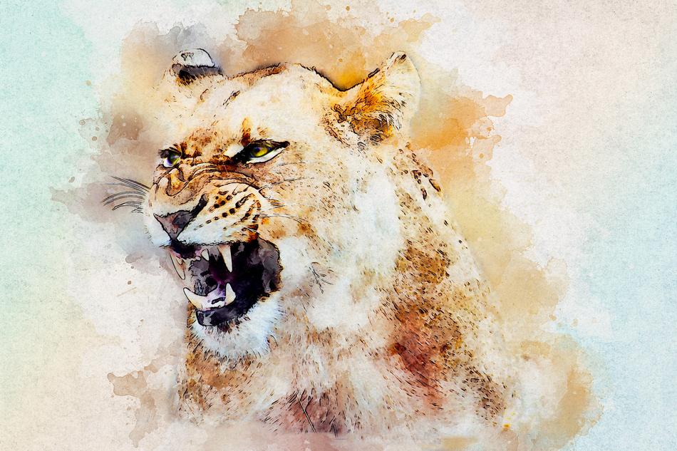 lioness roar wild art watercolor