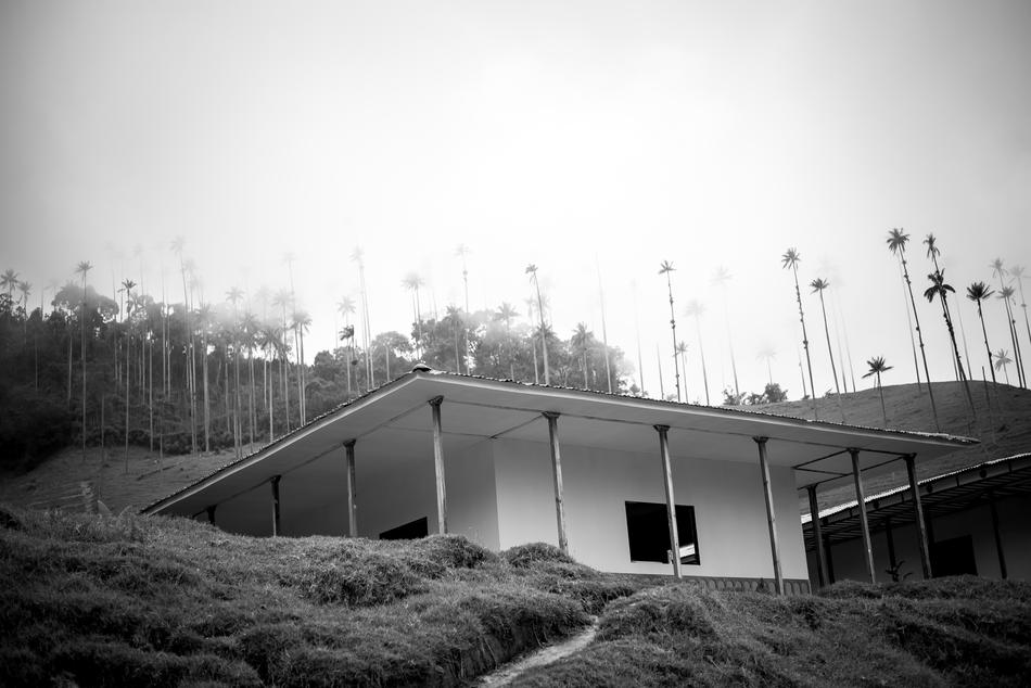 Cabin Black And White Peasant Hard