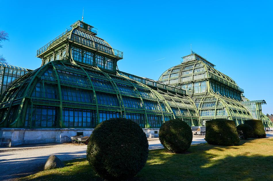 a big building with green leaves