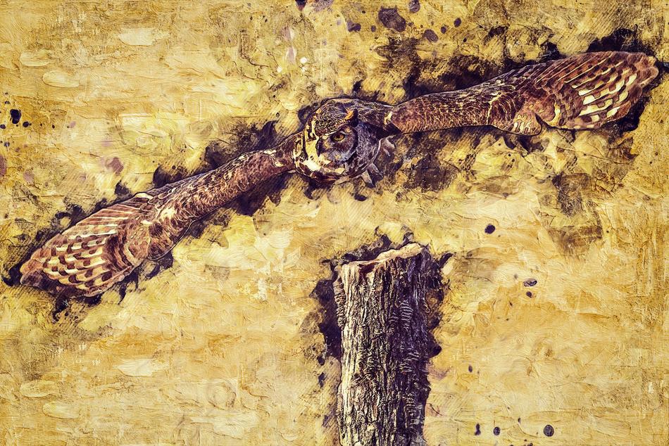 owl wallpaper bird animal pattern