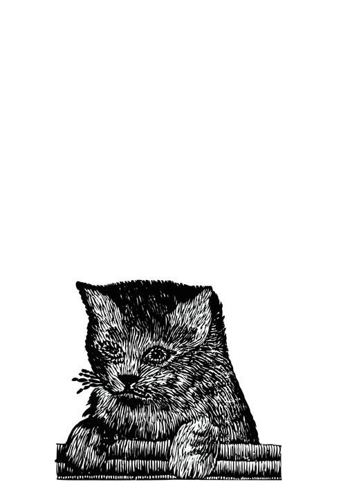 kitten cat black and white illustration