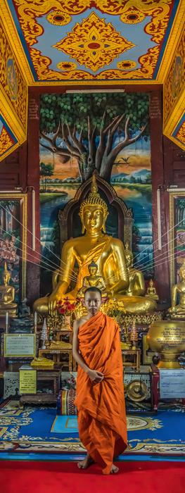 Monk Young Buddhism