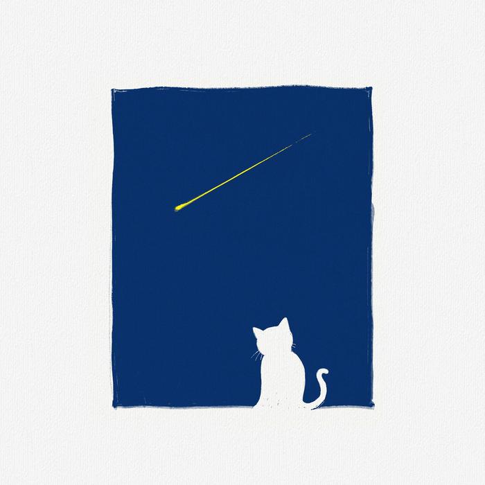 fairy tale cat night meteor