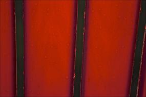 Lawn Chair Slats Red