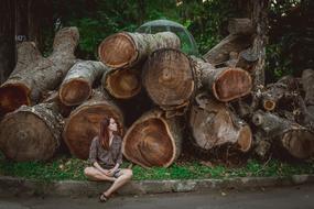 Vietnam Tree Log