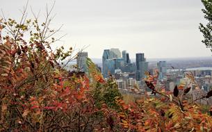 Fall Montreal Quebec