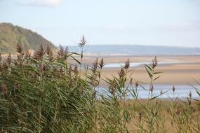 Coast Wales Sea