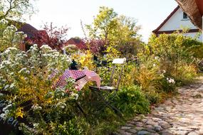 cozy table in the garden with a kettle