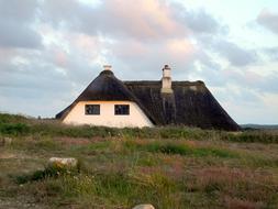 Thatched Roof House Reed