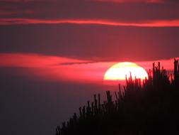 Sunset Trieste