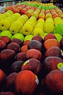 ripe apples on sale