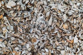 sawdust background
