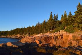 Sunset Trees Rocks Pine