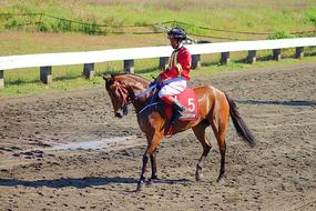 Horse Race Indonesia
