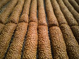 Long baked sesame seeds
