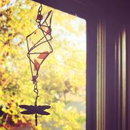 Window Autumn Fall