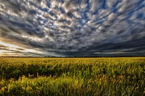 Sunset Moody Pasture