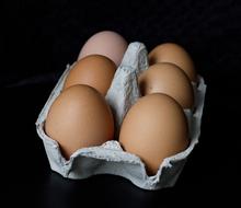 chicken eggs in a box on a black background