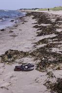 Fjellerup Beach Sea