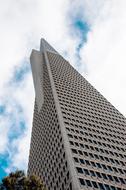 Transamerica Pyramid San Francisco