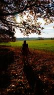 silhouette of a man in the foliage