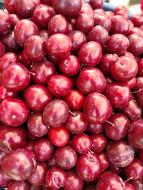 sweet plums harvest
