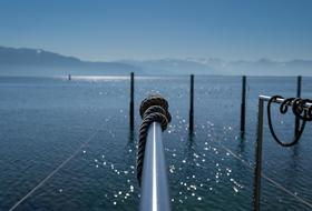 Texture Pattern Lake Constance