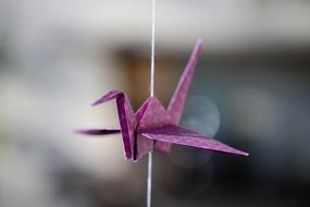 Origami Crane Bird