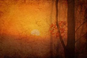 texture background paper structure