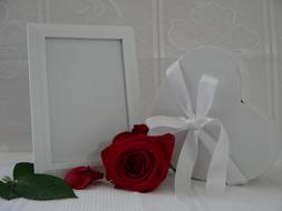 a red rose with a bow by the picture frame