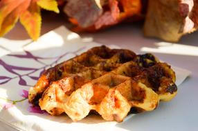 Sunlit fried waffle