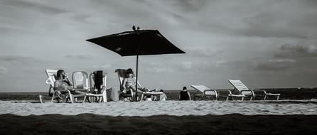 Beach Blackandwhite Sea