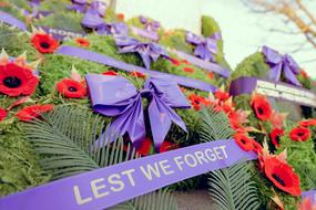 Remembrance Day Poppy Monument