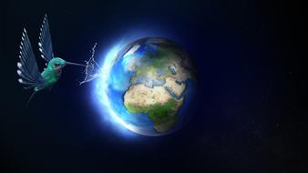 earth water bird fantasy global