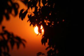 Sunset Shadow Sky