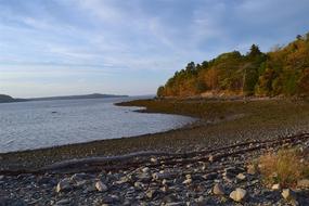 Sunset Shore Rocks