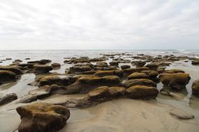 Beach Ocean L