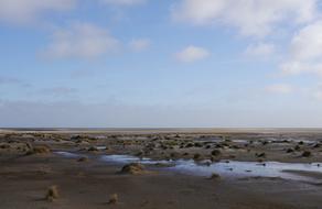 Sea Beach Island