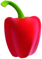 Red pepper icon on a white background