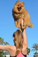 Girl with Dog on Beach