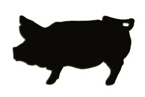 pig form decoration isolated