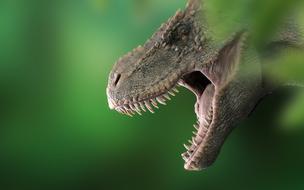 Dinosaur Tyrannosaurus Dino T
