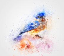 bird blue feathers art watercolor