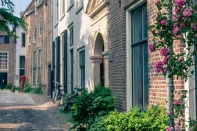 City Facade Alley